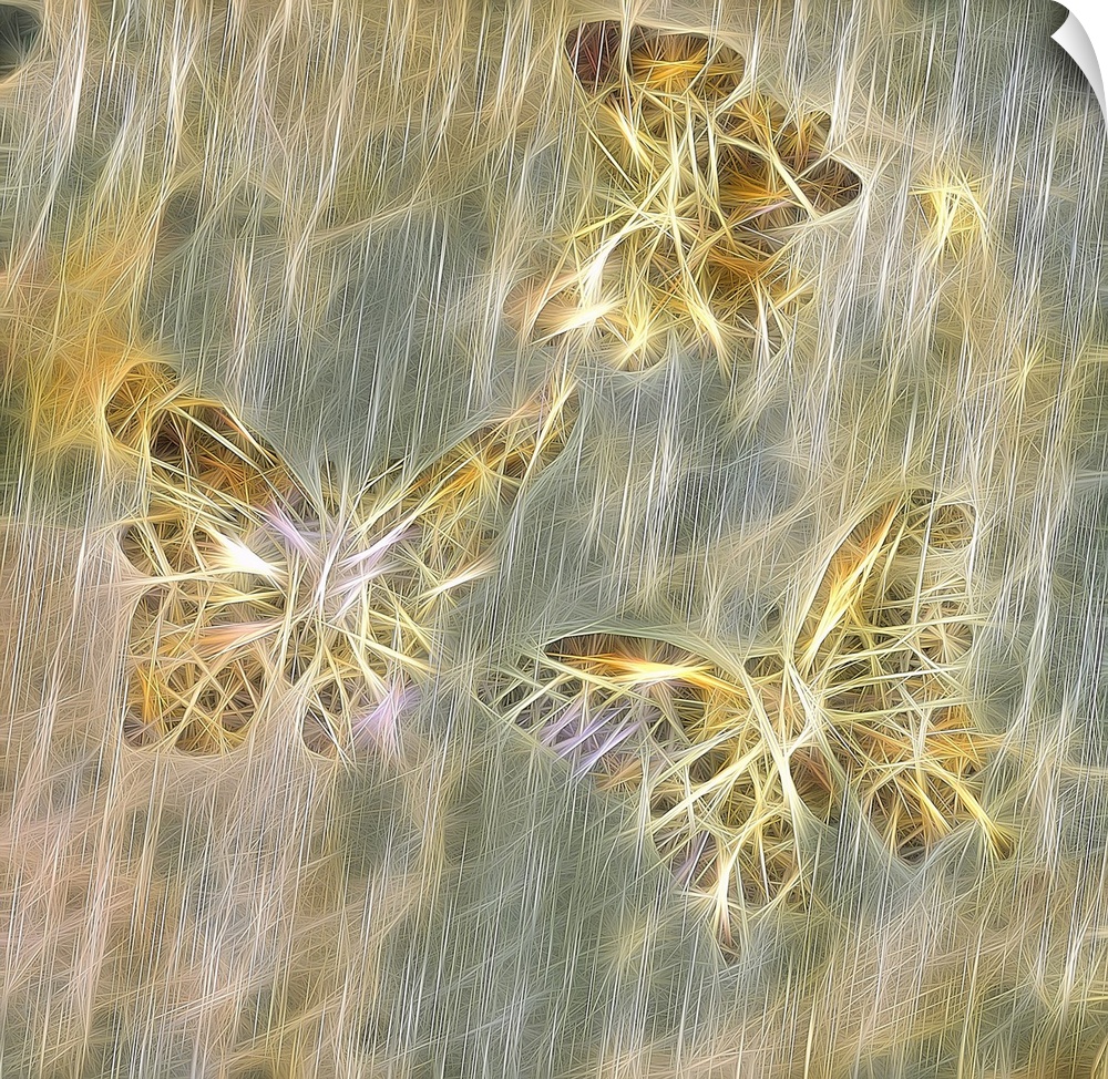 Square art with think lines intertwining together to create three flying butterflies in shades of gold, cream, and silver ...