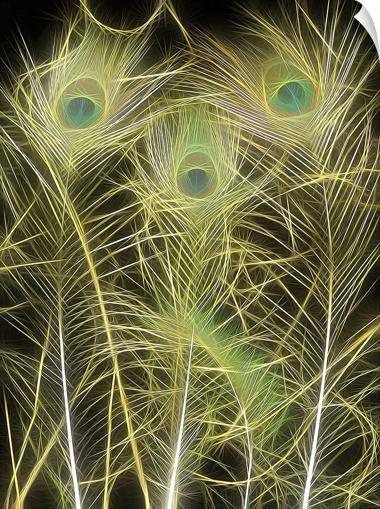 Large digital illustration of neon peacock feathers on a dark background.