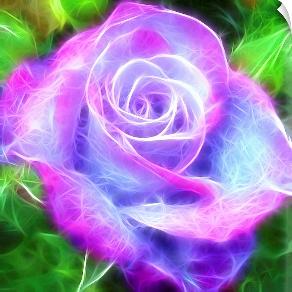 Digital illustration of a pink, purple, and blue rose with a green background and electric looking lines.