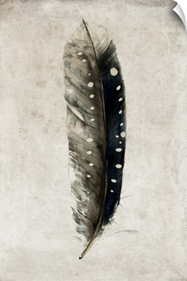 Feather II