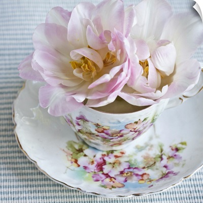 Tea Rose I