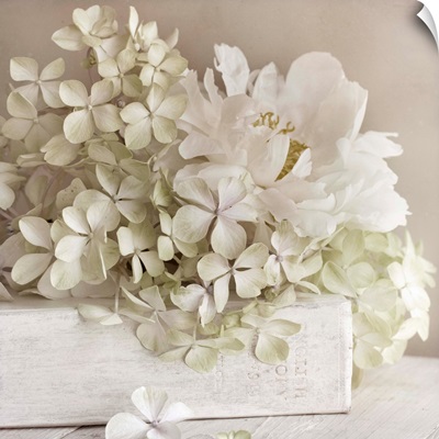 White Flowerbook