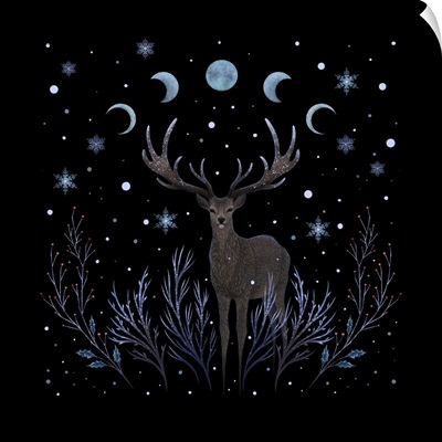 A Deer In Winter Night Forest