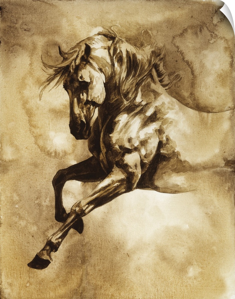Baroque Horse Series III:I