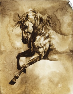 Baroque Horse Series III:I