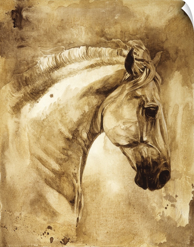 Baroque Horse Series III:III