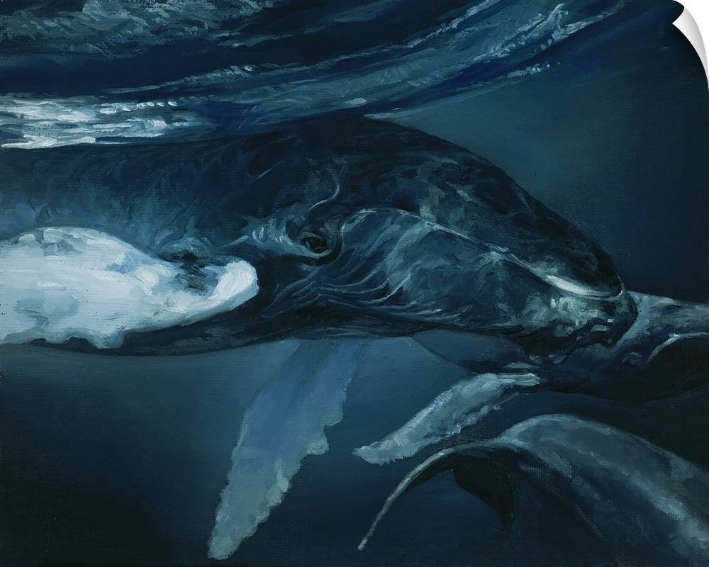 Humpback Whale V