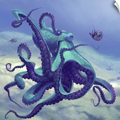Octopus - Blue