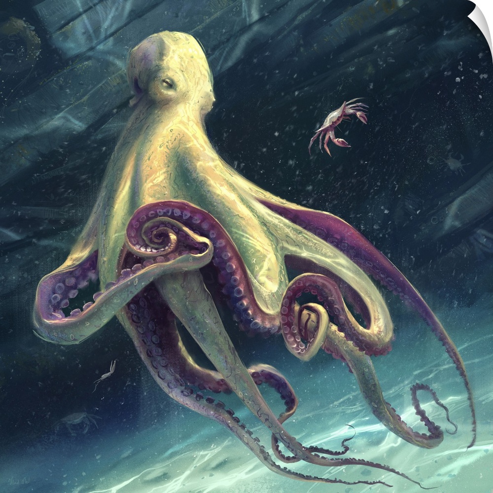 Painting of an octopus ready to eat crab.