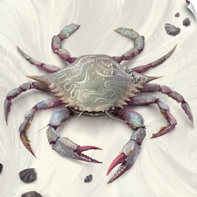 Painted Blue Crab