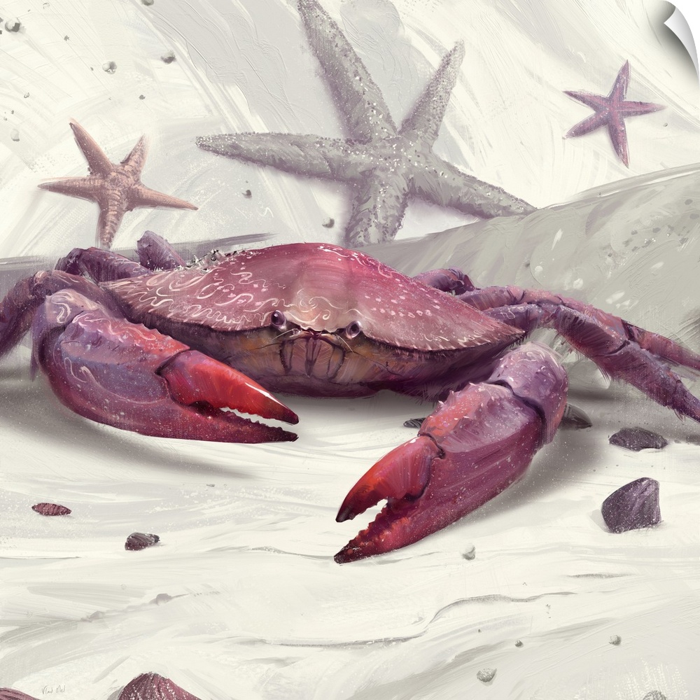 Painting of peekytoe crab with starfish on abstract background.
