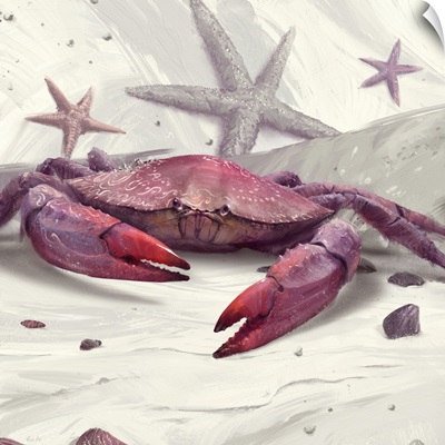 Painted Peekytoe Crab