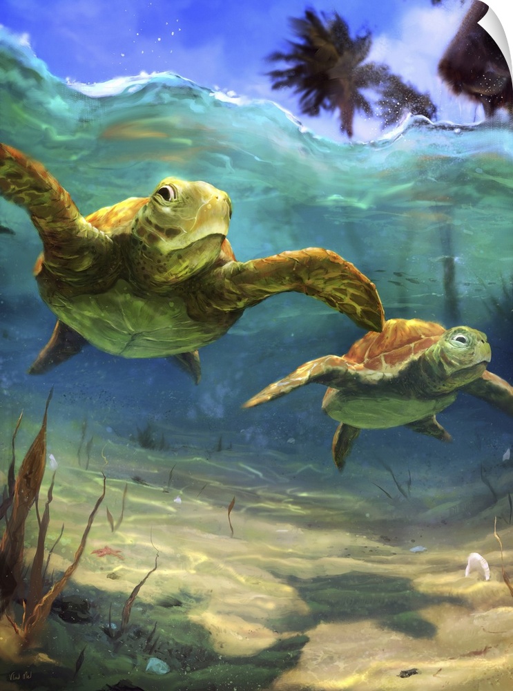 Painting of turtles swimming in colorful clear tropical underwater.