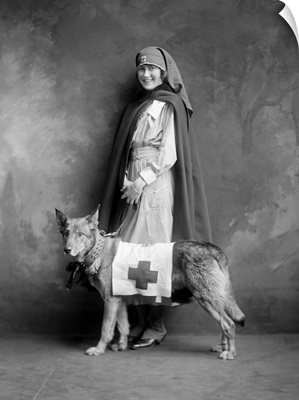 A woman in a Red Cross uniform with a rescue dog, 1916