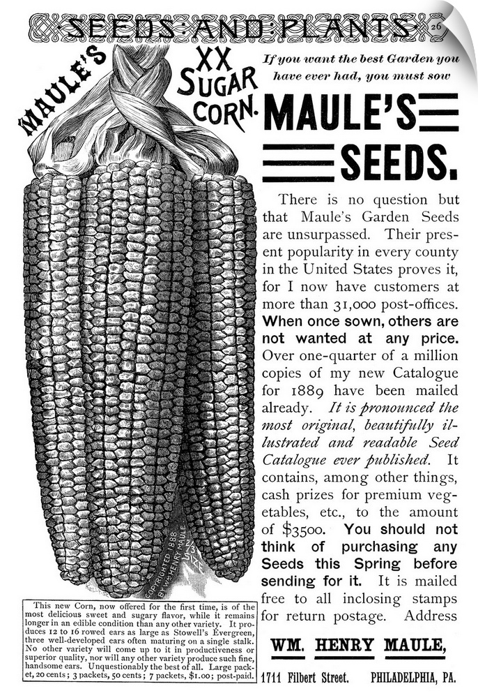 Ad, Seeds, 1889. American Magazine Advertisement For Maule's Corn Seeds, 1889.