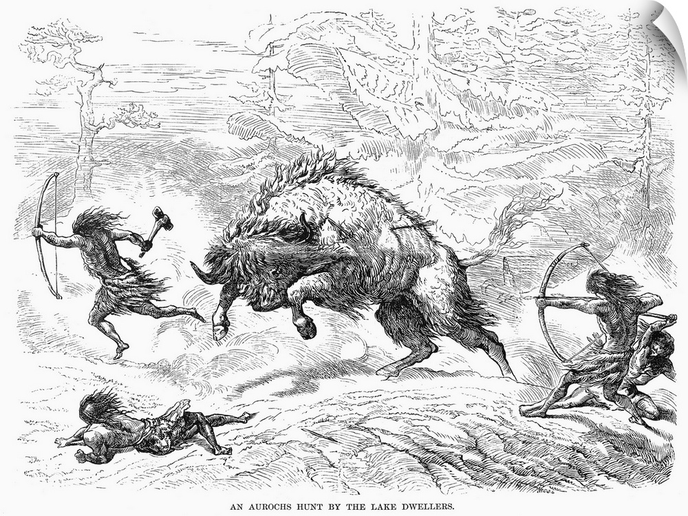 Aurochs Hunt. A Prehistoric Hunt Of An Aurochs. Line Engraving, 19th Century.