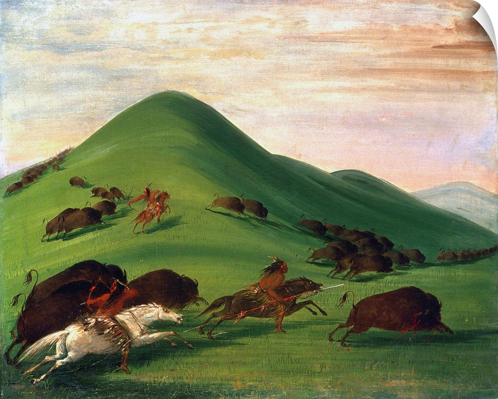 Buffalo Hunt, 1830S. With Bows And Lances, Comanche. Canvas By George Catlin, 1830-39.