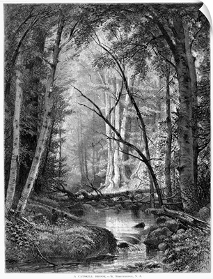 Catskill Brook, 1873