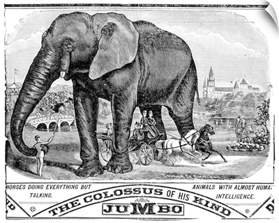 Circus Handbill, c1884