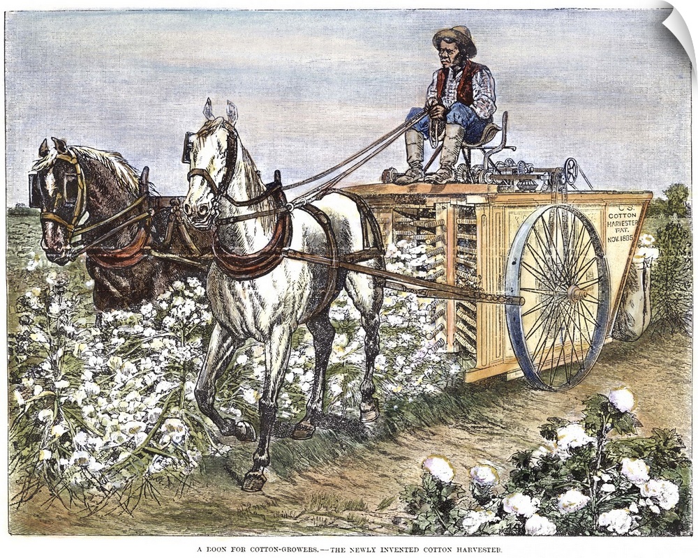 Cotton Harvester, 1886. A Field Hand In the American South Harvesting Cotton With An Early Mechanical Harvesting Machine. ...