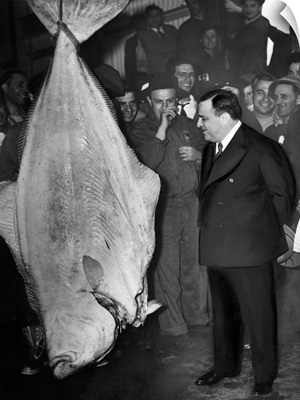 Fiorello Henry La Guardia, mayor of New York City, with a 300 lb. halibut.