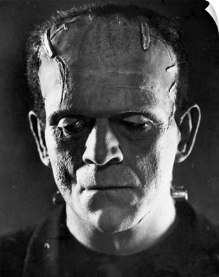 Frankenstein, 1931, Boris Karloff as the monster