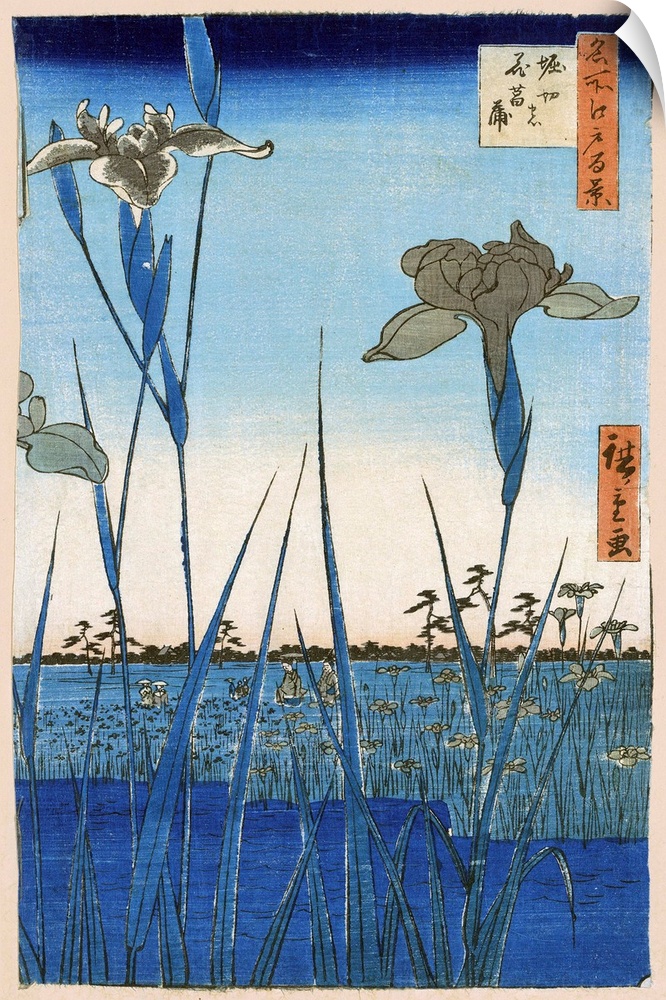 Japan, Iris Garden, 1857. 'Horikiri Iris Garden.' Woodcut By Hiroshige Ando, 1857.