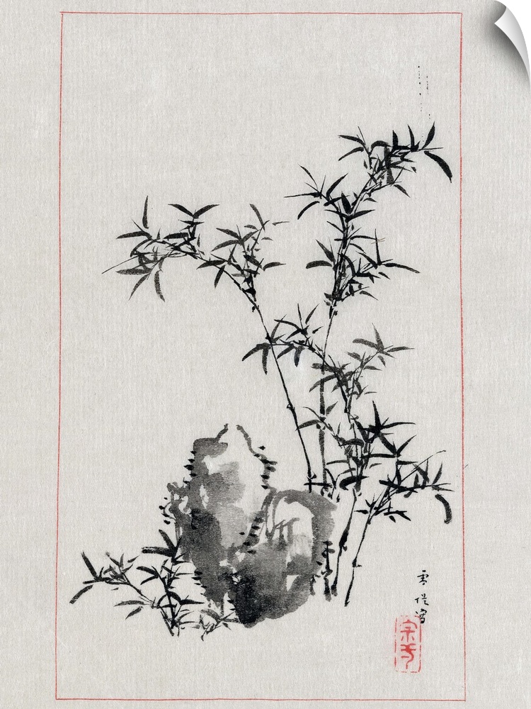 Japan, Bamboo, 1878. A Japanese Drawing Of Bamboo And Rocks In A Garden. Drawing By Settei Haswgawa, 1878.