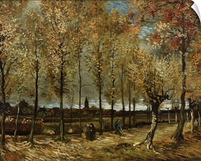 Lane With Poplars Near Nenen, 1885