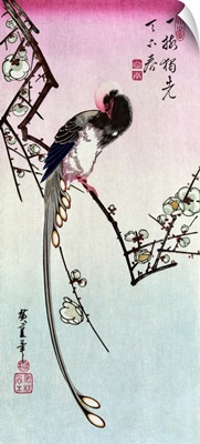 Magpie And Plum Blossom, 19th Century
