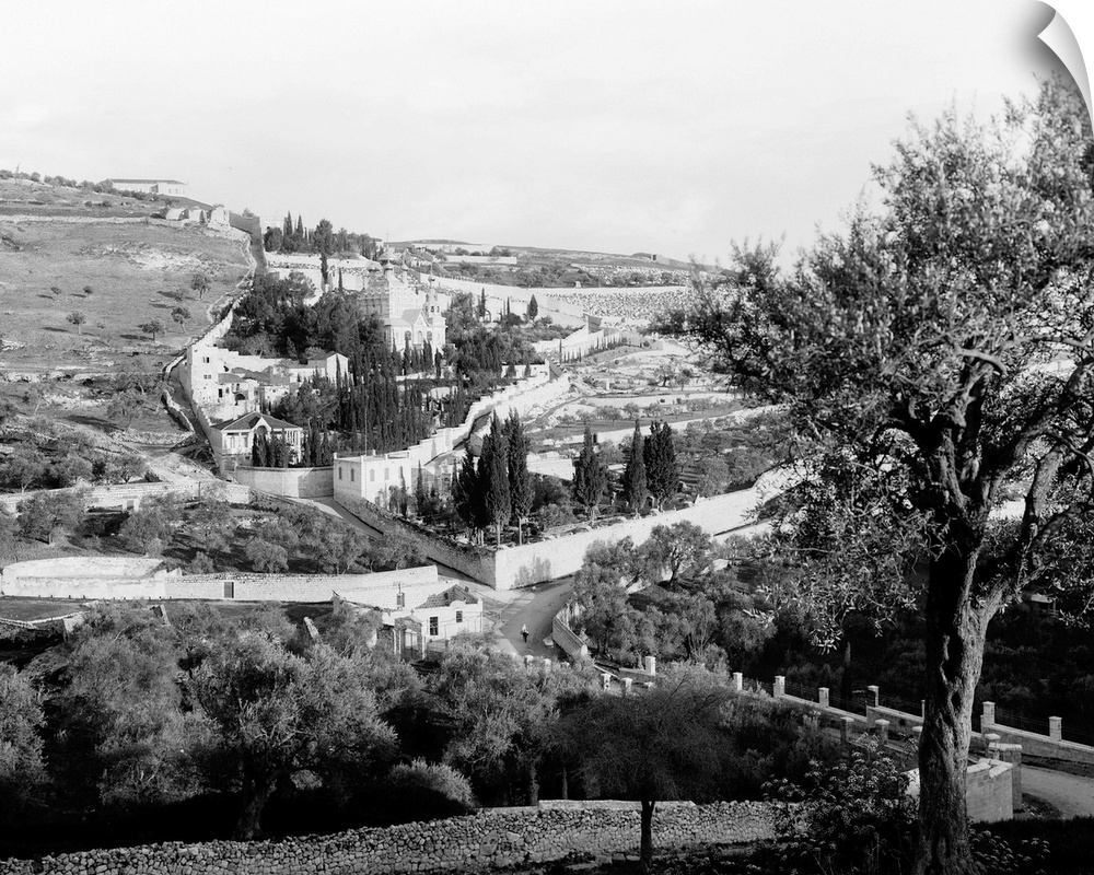 Mount Of Olives. Bird's Eye View From the South Of the Mount Of Olives, East Jersusalem. Photograph, C1898-1910.