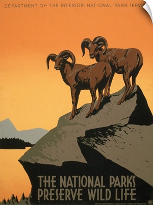 National Park Poster, c1937