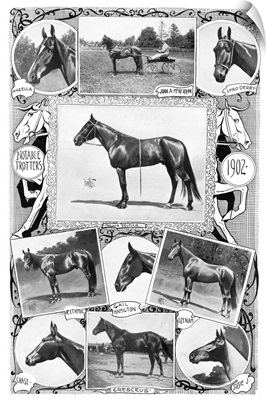 Notable Trotter Racehorses, 1902