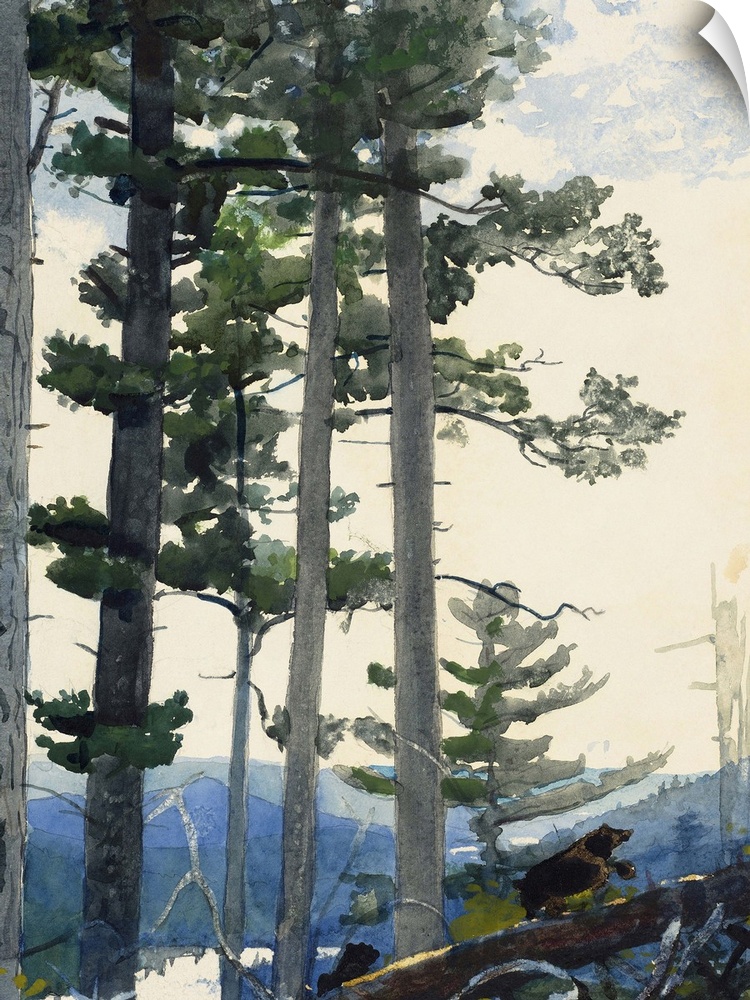 Homer, Old Settlers, 1892. Watercolor On Paper, Winslow Homer, 1892.