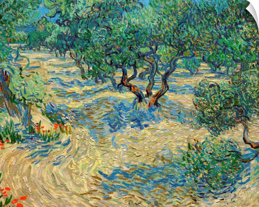 Van Gogh, Olive Orchard. Oil On Canvas, Vincent Van Gogh, June 1889.