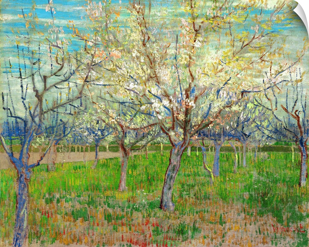 Van Gogh, Orchard, 1888. 'Orchard.' Oil On Canvas, Vincent Van Gogh, 1888.