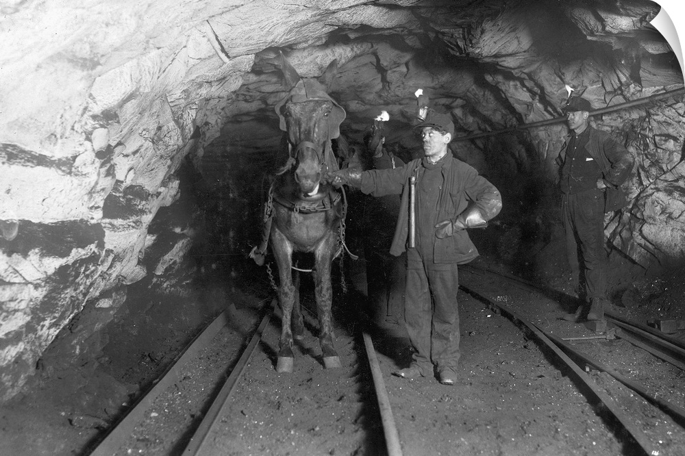 Pennsylvania, Coal Mine. A Young Leader And A Driver With A Pit Pony At Shaft 6, Pennsylvania Coal Company, Pittston, Penn...