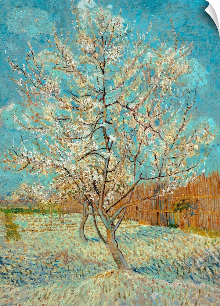 Van Gogh, Peach Tree, 1888. 'Pink Peach Tree.' Oil On Canvas, Vincent Van Gogh, 1888.