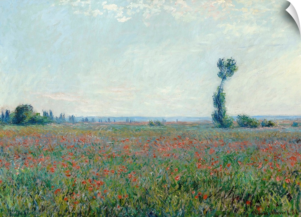 Monet, Poppy Field, 1881. Oil On Canvas, Claude Monet, 1881.