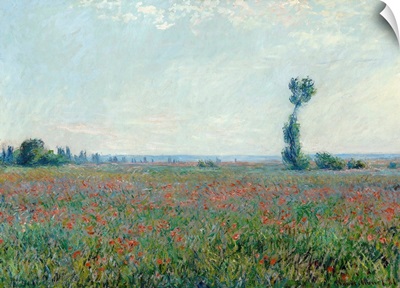 Poppy Field, 1881