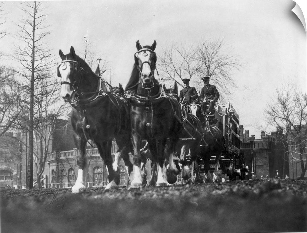 The Anheuser-Busch team on the streets of St. Louis, Missouri, following the repeal of the 18th (Prohibition) Amendment, D...