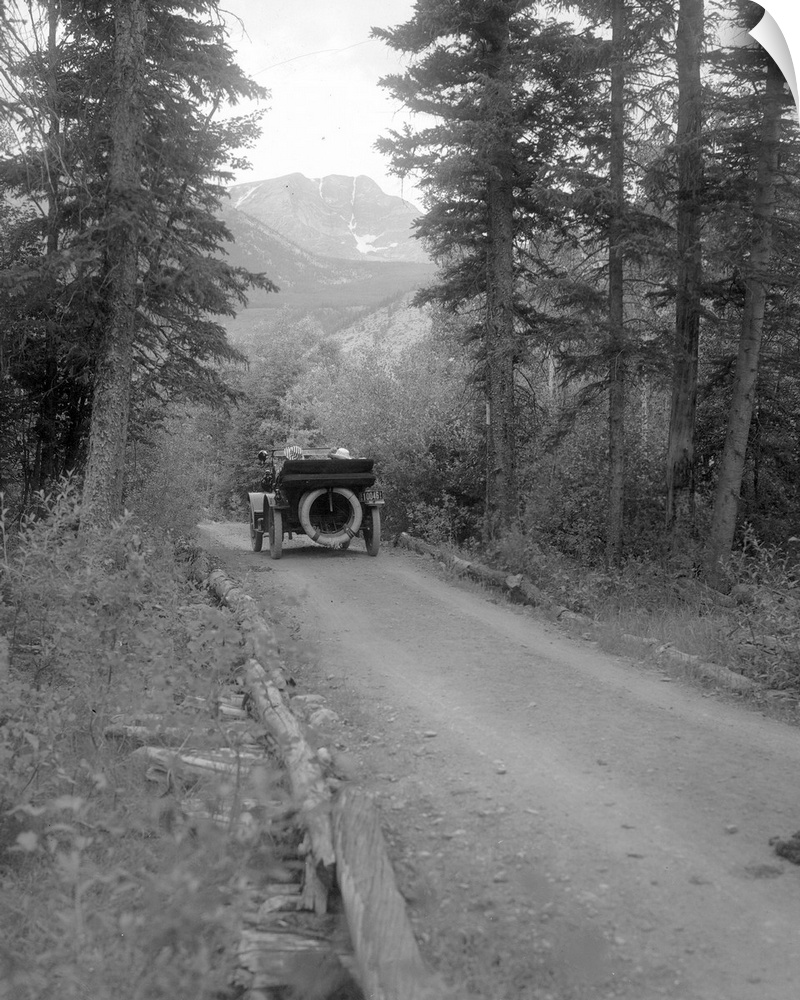 A corduroy road running through Rocky Mountain National Park, Colorado: photographed in 1916.