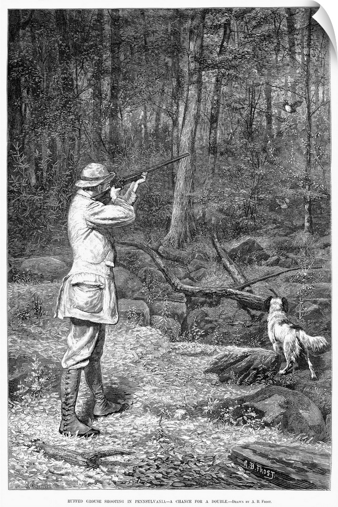 Bird Shooting, 1881. 'Ruffed Grouse Shooting In Pennsylvania - A Chance For A Double.' Wood Engraving, 1881, After Arthur ...