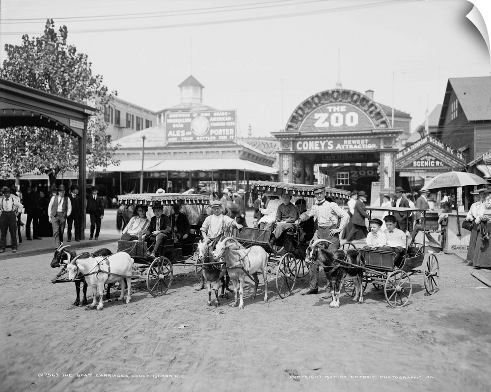 The goat carriages at Coney Island, Brooklyn, New York. Photograph, c1904.