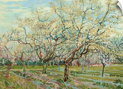 White Orchard, 1888