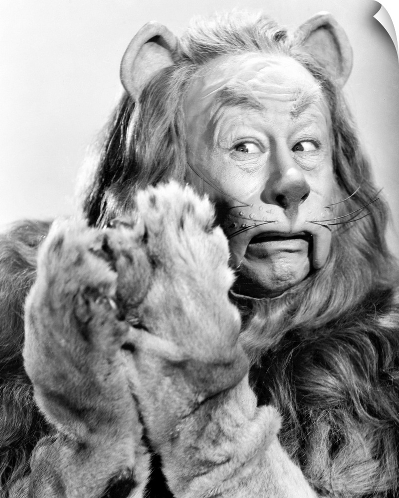 Bert Lahr as the Cowardly Lion in the 1939 MGM production of 'The Wizard of Oz.'