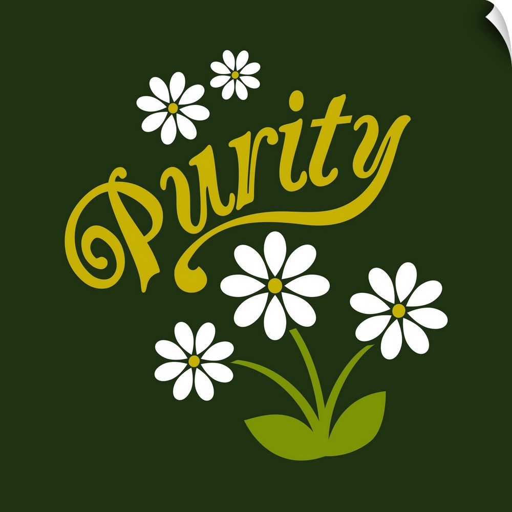 A modern illustration of white daisies and the text 'Purity' with a white border.