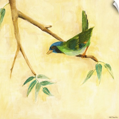 Bird Song III
