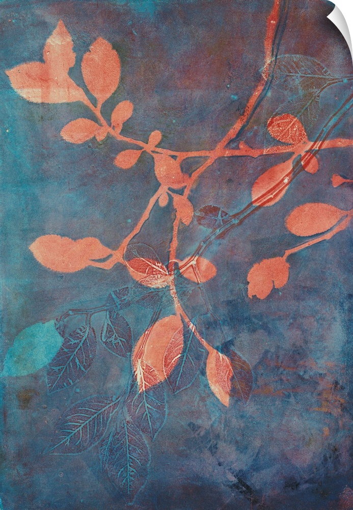 A stunning contemporary cyanotype image featruing coral colored branches against a blue and rust colored background