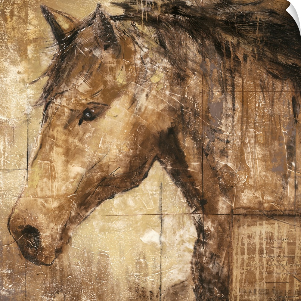 A contemporary portrait of a horse available on square shaped wall art for the home or office.